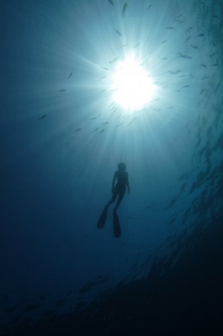 Snorkel en el oceano